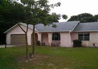 895 Fruitland Dr, Deltona, FL 32725-5539