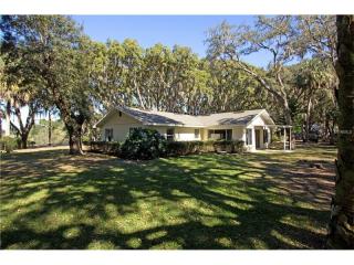 16200 Wilson Parrish Rd, Umatilla, FL 32784-9341