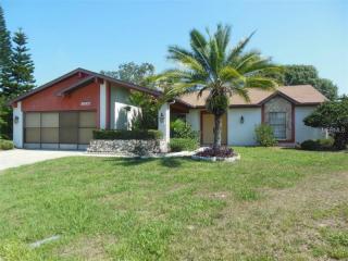 12539 Smokey Dr, Port Richey, FL 34669-2720