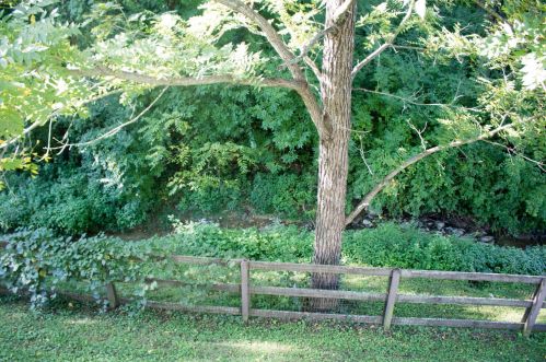 1028 Rivermeade Dr, Taylorsport KY  41048-7351 exterior