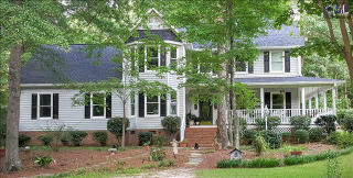 244 Platinum Dr, Lexington SC  29072-7951 exterior