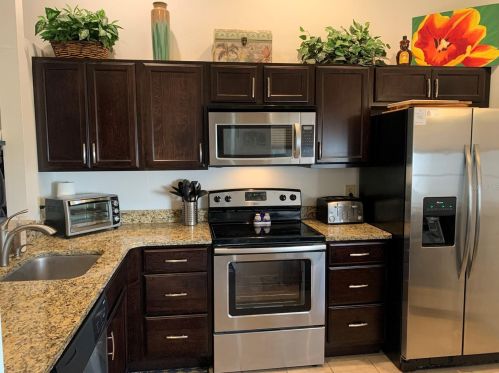 3343 Hibiscus Dr, Palm Harbor FL  34684-3428 exterior