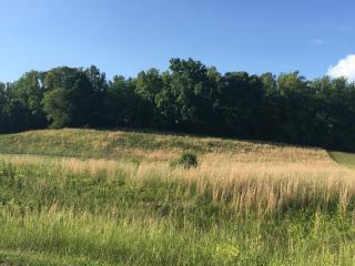336 Kinchloe Mill Rd, Jonesborough, TN 37659-3015