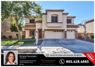 14171 Lisbon Ln, Sun City, AZ 85379-8650