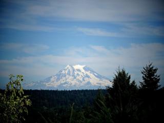 9724 Amanda Dr, Olympia, WA 98516-1734