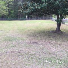 4276 Cato Rd, Effingham, SC 29541-3714