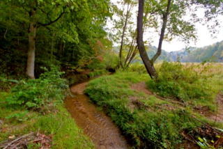 2525 Roby Martin Rd, Happy Valley, NC 28661