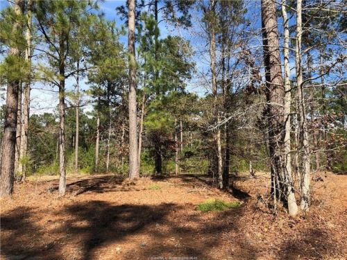 242 Topside, Bellinger SC  29927-2944 exterior