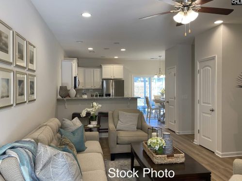 841 Dawsons Park Way, Lexington SC  29072 exterior
