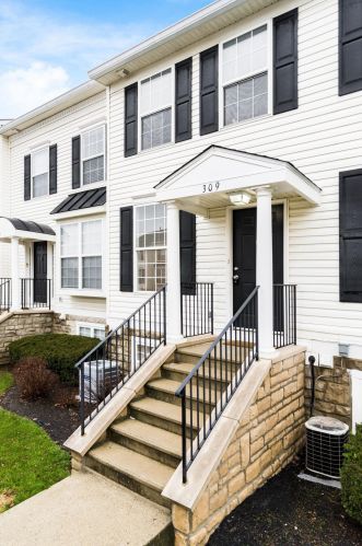 309 Shadbush Dr, Blacklick OH  43004-8443 exterior