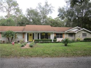 1439 Waldrup Rd, Lakeland, FL 33810-0231