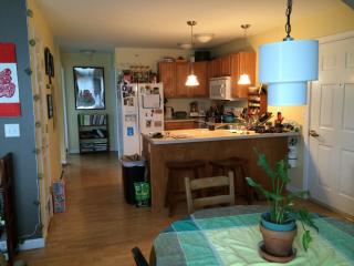 354 Manhattan Dr, Burlington VT  05401-4281 exterior