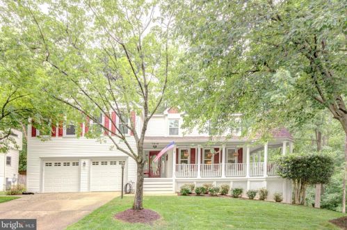 7819 Lobelia Ln, Springfield, VA 22152-3136