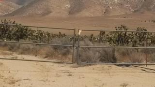 12136 Frank St, Onyx, CA 93255-9723