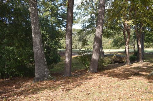 140 Rdg Lk Dr, Foreston SC 29102-4478 exterior