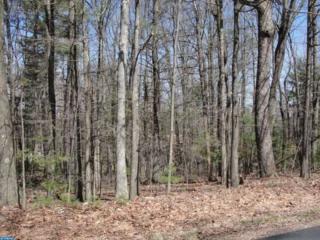 107 Creek Dr, Brommerstown, PA 17922-9519