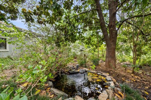 4305 Oak View Dr, Pilot Hill CA  95664-9611 exterior