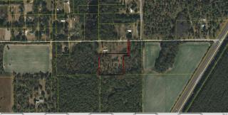 293 Freeman Rd, Lamont, FL 32336-7129