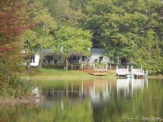 9395 Hicks Rd, Franklinville, NY 14737-9748