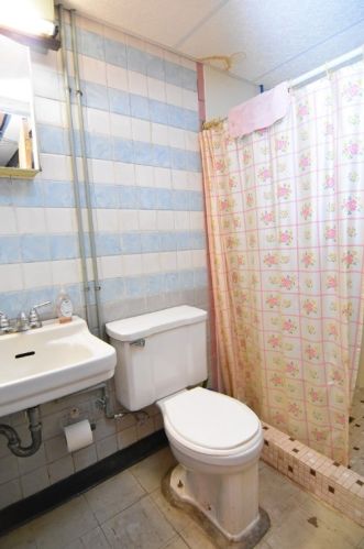 217 Larkspur St, Whitaker PA  15120-2207 exterior