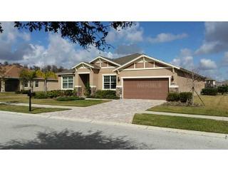 3332 Mapleridge Dr, Lutz FL  33558-5024 exterior