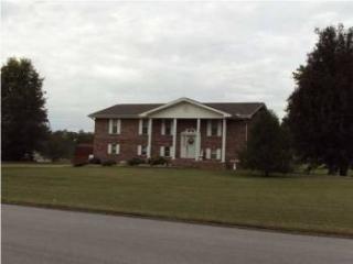 8613 Blueberry Ln, College Dale, TN 37363-9279