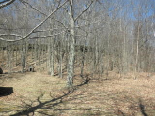 206 Jones Hill Rd, North Harpersfield, NY