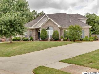 121 Averbeck Ct, Madison, AL 35758-6297