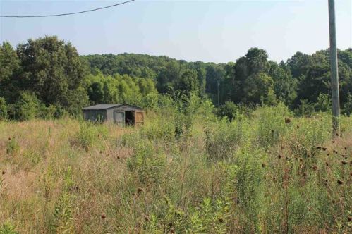 901 Chestnut Grv Rd, Brownsville TN  38012-8211 exterior