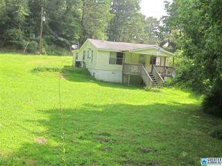 6016 New Castle Rd, Morris, AL 35116-2037
