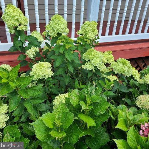 1139 Wilson Ave, Glen Mills PA  19342-9610 exterior