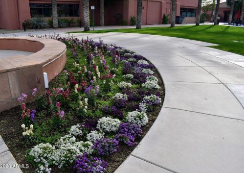 15780 Alpine Ridge Dr, Sun City AZ  85374-2193 exterior