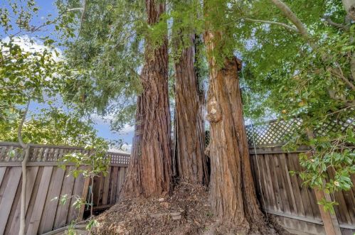 1558 Edgewood Dr, Palo Alto CA  94303-2819 exterior