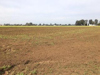 2505 Greenwood Ave, Tivy Valley CA  93657-8530 exterior