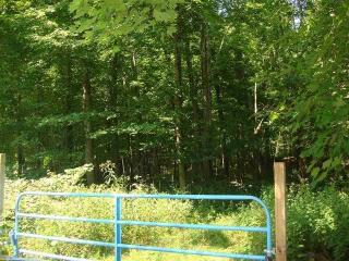 9127 Buskirk Rd, Gosport, IN 47433-9623