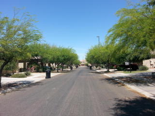 4443 Melrose St, Gilbert, AZ 85297-3511