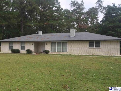 1613 Lamar Hwy, Darlington SC  29532-6915 exterior