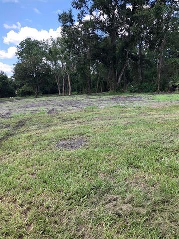 32314 Holopaw Trl, Mount Plymouth, FL 32776-8991