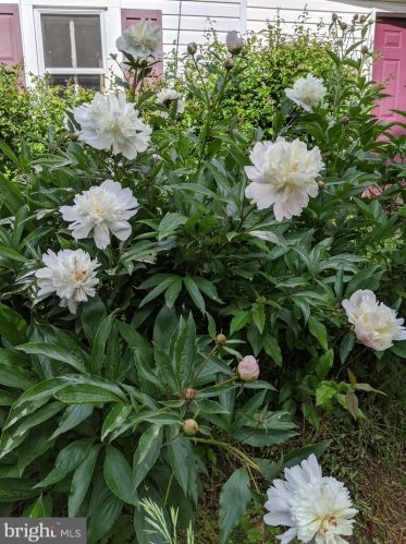 210 Hoernerstown Rd, Hummelstown PA  17036-9503 exterior