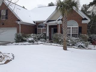 123 Flagstone Way, Lexington SC  29072-7042 exterior