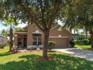 10026 Autumn Creek Ln, Orlando, FL 32832-5938