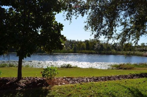4812 Walnut Ridge Rd, Land O Lakes, FL 34638-3724