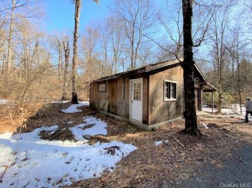 60 French Clearing Rd, Monticello NY  12777-6116 exterior