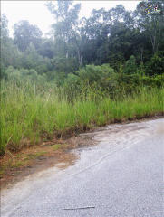 162 Majestic View Ln, Batesburg-Leesville, SC 29070-7092