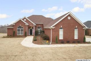 223 Cedar Springs Pl, Madison, AL 35758-3624