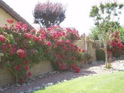 12577 Spring Valley Pkwy, Victorville, CA