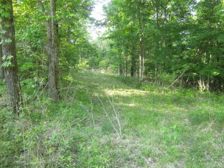 5950 Phifer Mountain Rd, Cookeville, TN 38506-6942
