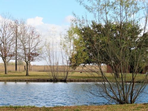 1383 River Valley Dr, Dinsmore, TX 77488-9950