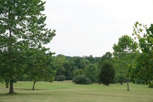 16689 Bailor Rd, Laurelville, OH 43135-9504