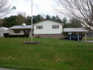 344 Carol Hill Dr, Blountville, TN 37617-6002